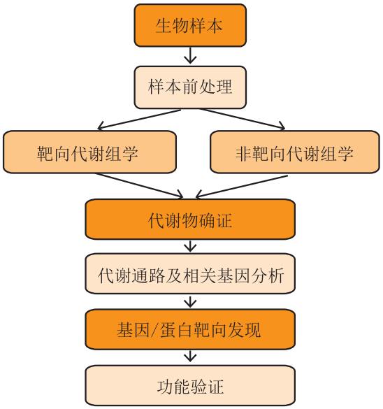 靶向與非靶向代謝組學(xué)解析