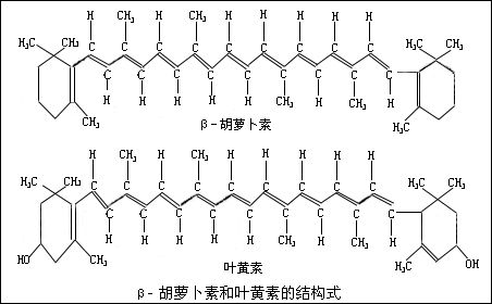 科米代謝 類(lèi)胡蘿卜素檢測(cè)