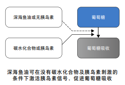 魚(yú)油能護(hù)心血管降血壓，但要控制每日攝入量